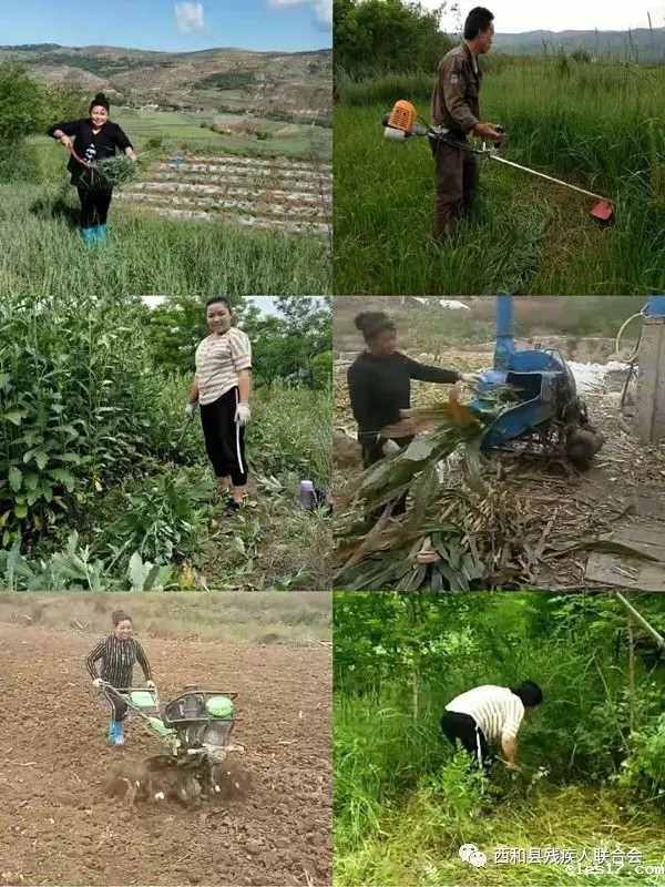 20181227xihexianheli3