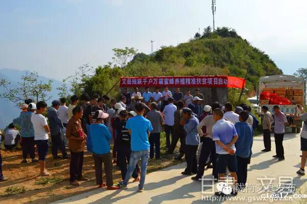 wenxianmifenyangzhi1