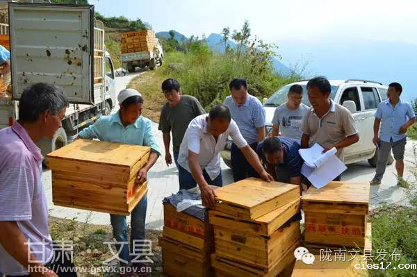 wenxianmifenyangzhi3