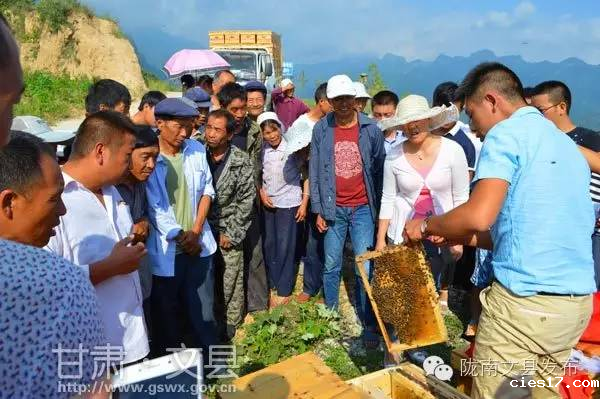 wenxianmifenyangzhi5