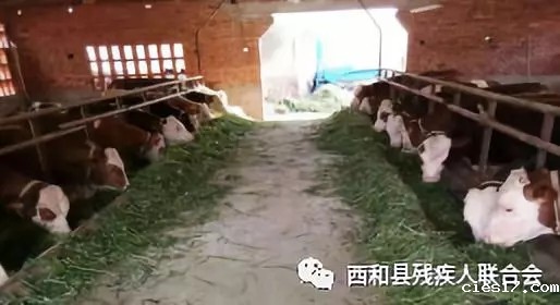 20181227xihexianheli2